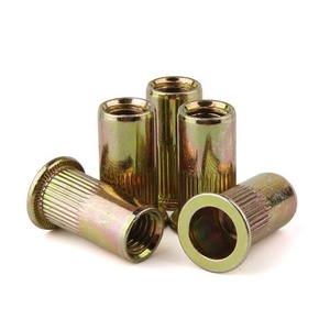 Tuerca de remache de cuerpo moleteado de cabeza plana redonda grande de Venta caliente con color de zinc chapado en - Product Image 1