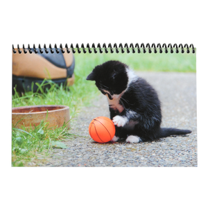 Papier de caisse Kitten, simple couche, sans carbone, impression numérique, noir - Product Image 1