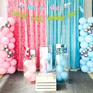 Striscione 'Lui o Lei? Cosa sarà il bambino?' per Golf, Decorazioni per Gender Reveal, Sfondo Fotografico Rosa Blu per Gender Reveal a Tema Golf - Product Image 5