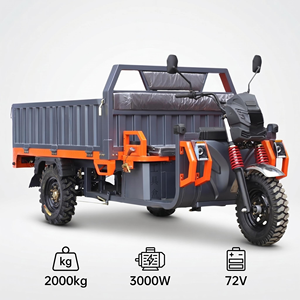 Tricycle de charge 2000 kg à prix de gros, moteur 3000 W, moto à 3 roues pour l'exploitation minière et les carrières, robuste, capacité de charge 2000 kg, conçu pour le transport lourd - Product Image 5