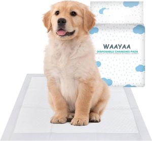 Tapis d'apprentissage et de propreté jetables pour chiens et chiots, très résistants et économiques - Product Image 1