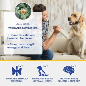 Gouttes calmantes <span class=keywords><strong>pour</strong></span> animaux de compagnie <span class=keywords><strong>pour</strong></span> chats et chiens Ingrédients naturels à base de plantes Absorption rapide Vente en gros personnalisée - Product Image 2
