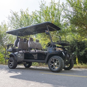 Carrito de Golf Certificado CE de 4 Tiempos, Buggy Turístico de 5-6 Asientos con Autonomía de 48v y 30 km - Product Image 5