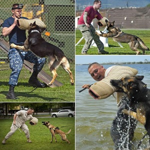 Juego <span class=keywords><strong>de</strong></span> entrenamiento <span class=keywords><strong>de</strong></span> <span class=keywords><strong>mordedura</strong></span> <span class=keywords><strong>de</strong></span> perro profesional Brazo <span class=keywords><strong>de</strong></span> manga <span class=keywords><strong>de</strong></span> <span class=keywords><strong>mordedura</strong></span> <span class=keywords><strong>de</strong></span> perro con palo <span class=keywords><strong>de</strong></span> agitación <span class=keywords><strong>de</strong></span> látigo para protección <span class=keywords><strong>de</strong></span> entrenamiento <span class=keywords><strong>de</strong></span> perros para morder - Product Image 5
