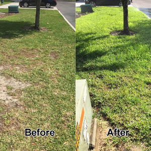 Winslow & Ross 3-en-1, motoculteur de griffe de jardin, bouchon manuel, aération du sol, aérateur de pointes de pelouse - Product Image 6