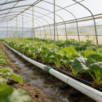 Tuyau plat agricole PE haute performance LYPLAST noir de 3/4 po de diamètre pour l'irrigation à grande échelle des exploitations agricoles – Transfert d'eau efficace