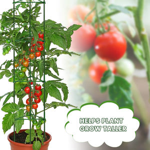 Fabriek Direct Geplastificeerde Tomatenkegel Kooien Duurzame Plant Ondersteuning En Stabiliteit Oplossing Met Komkommer Trellis - Product Image 2