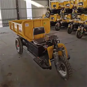 Caixa traseira para bicicleta elétrica de carga, equipada com 3 rodas, haste hidráulica de elevação automática, outros triciclos