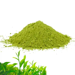 plant extract water soluble matcha green tea leaf powder