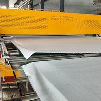 Ligne de production de panneaux de drainage auto-adhésifs alvéolés en HDPE et EVA de 2m et 3m de large, par extrusion et thermoformage