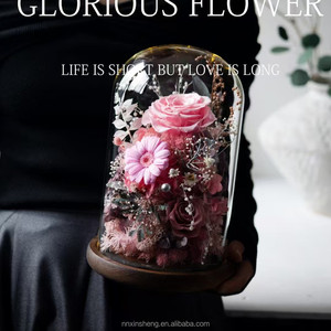 Roses réelles préservées, fleurs éternelles, roses préservées dans un dôme en verre, cadeaux pour la Saint-Valentin pour femmes - Product Image 3