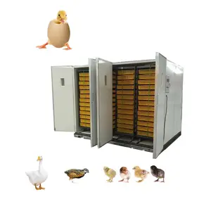 Automatique 22528 poulet canard volaille incubateur d'œufs écloserie machine combinée HJ-IH22528
