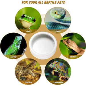 Abri/Caverne en céramique pour reptiles, bol rond durable pour nourriture et eau, empêche <span class=keywords><strong>les</strong></span> vers de farine de s'échapper, toutes saisons - Product Image 5