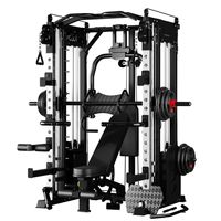 Dinuo Commercial All-in-One Smith Power Rack - Double paires de poids de 70 kg, Crossover de câbles et Presse pectorale pour un entraînement complet du corps