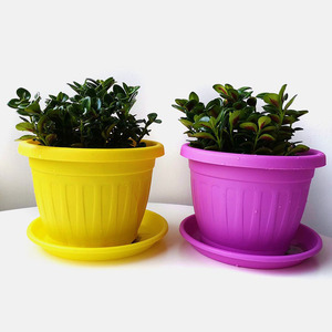 Offre Spéciale multiples taille coloré accessoires de jardin jardinières en plastique <span class=keywords><strong>pot</strong></span> à bonsaï sol <span class=keywords><strong>culture</strong></span> succulentes pots de fleurs En Plastique - Product Image 5