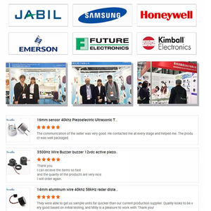 Fabriek Direct 12V Verstelbare Volume Zoemer Instelbare Volume Alarmen Zoemers En Sirenes - Product Image 6