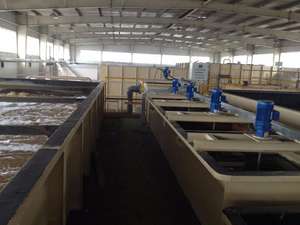 [HOSOME] <span class=keywords><strong>Engrais</strong></span> à base de fulvate de potassium de haute pureté 100 % soluble dans l'eau, provenant de l'leonardite, <span class=keywords><strong>pour</strong></span> l'irrigation goutte à goutte et l'application foliaire - Product Image 5