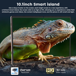 Tablette PC Top Choice S10 Ultra 10,1 pouces 16 Go 8000 mAh USB-C Double SIM Écran Capacitif Wi-Fi Nouveau Processeur Professionnel Android 14 - Product Image 3