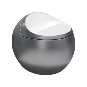 WC intelligent japonais multifonctionnel en céramique de Chaozhou avec désodorisation, prix intelligent, abattant automatique DX-S9 - Product Image 6