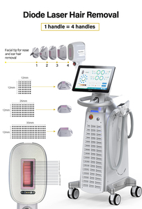 Máquina de Depilación Láser de Alta Potencia de 755/808/1064nm con Longitudes de Onda Blanqueadoras, Garantía de <span class=keywords><strong>2</strong></span> Años, Cepillo de Limpieza Facial - Product Image 2