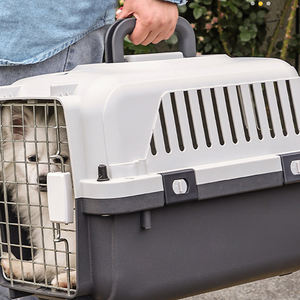 Più dimensioni disponibili porta durevole PP materiale di grandi dimensioni cane da compagnia Air scatola da viaggio con ruote - Product Image 6