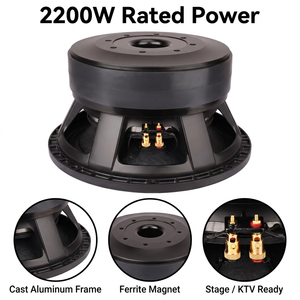 Subwoofer Passivo Professionale da 15 Pollici 2200W RMS, Altoparlante PA con Bobina Vocale da 152mm, Doppio Magnete in Ferrite da 300mm, Cassa Metallica per Palcoscenico - Product Image 2