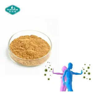 China ISO Factory Supplier Bulk Olive Leaf Extract Powder 40% 70% Oleuropein Hydroxytyrosol Leaf Extract Olive