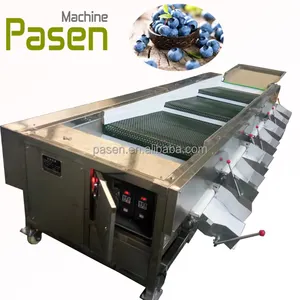 Middle East Dates Track Sorting Machine Dates Classifier Blueberry Fruit Grader Passion Grading Machine