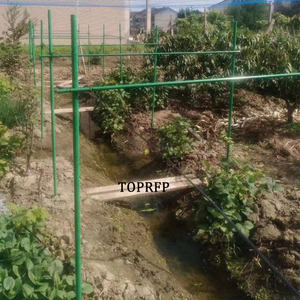 เสาค้ำรองรับการปลูกทางการเกษตรท่อกลม Frp - Product Image 3