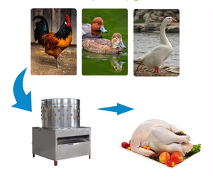 Tolcat Doigts en caoutchouc à plumer automatiques personnalisés 1.5KW Machine à plumer le poulet à plumer les plumes de volaille à vendre - Product Image 2