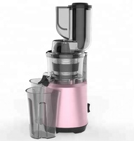 Draagbare Huishoudelijke Elektrische Slow Juicer Low-Noise Kauwglas Roestvrijstalen Zeef Koude Pers Schroef Plastic