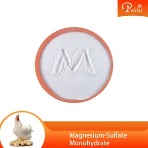 Magnesium Sulfate Monohydrate Thức Ăn Cấp Phân Bón Lớp Magnesium Sulphate Bột