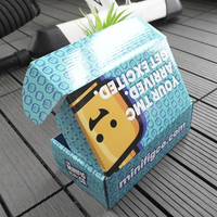 Caja de Cartón Corrugado Personalizada para Envíos, Caja de Embalaje de Papel para Ropa, Zapatos, Prendas de Vestir, Marcas de Moda