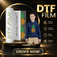 Film numérique DTF Chine 30x60cm pour impression directe sur T-shirts, vêtements et textiles