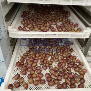 เครื่องอบแห้งลูกพรุนแบบปั๊มความร้อนพร้อมคุณสมบัติพิเศษ สายการผลิตเครื่องอบแห้งลูกพรุน เครื่องขจัดน้ำออกจากลูกพรุน - Product Image 1