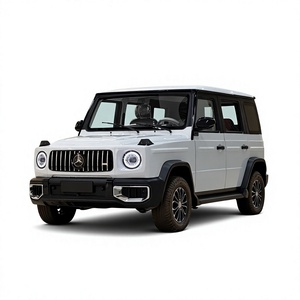 Vehículo SUV Todoterreno de 4 Puertas con Carrocería Totalmente Metálica, Eléctrico, para Desplazamientos Diarios y Aventuras al Aire Libre - Product Image 1