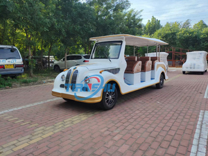 Auto Elettrica Classica di Design Bianco a 3 File e 11 Posti con Carrozzeria Grande, Marca TIANSHU, Certificata CE, Produttore Cinese - Product Image 4