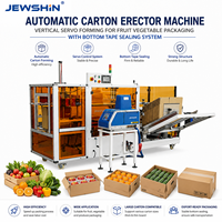Machine de formage de cartons entièrement automatique à servo-moteur vertical pour l'emballage de fruits et légumes avec système de scellage par ruban adhésif inférieur