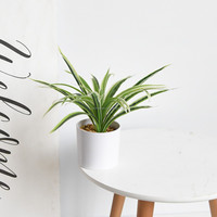 Plante artificielle en soie, Chlorophytum Comosum Variegatum, petit bonsaï 30 cm, centre de table de mariage, décoration intérieure