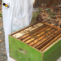 Alimentador de abeja con tapa de madera, marco de colmena negra de plástico de 6.5L