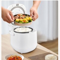 Cuisinière à riz multifonctionnelle à double tension 12v 24V, cuiseur à riz portable avec cuve antiadhésive, adapté aux voyages en plein air