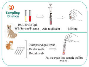 Analyseur d'immunofluorescence pour animaux de compagnie CP4 CPV AG Test pour chat et chien avec fonction d'analyse de la grossesse canine - Product Image 3
