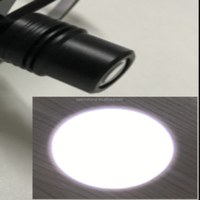 Lampe frontale LED vétérinaire à clipser avec faisceau réglable de 3W pour chiens et chats, idéale pour l'utilisation en clinique vétérinaire