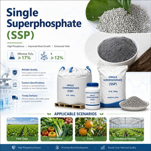Conditionneur de sol Superphosphate de calcium SSP <span class=keywords><strong>17</strong></span>% P2O5 <span class=keywords><strong>12</strong></span>% S <span class=keywords><strong>Engrais</strong></span> phosphaté Spécification personnalisée <span class=keywords><strong>Prix</strong></span> usine - Product Image 1