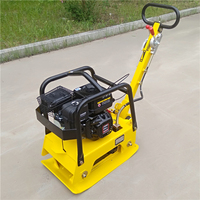 Compacteur à plaques vibrantes SDBM compacteur à plaques pour moteur diesel essence