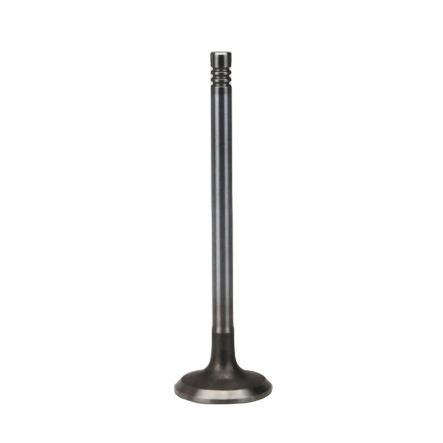 High Quality Titanium Engine Valves for  Cayenne 3.6L AR OE 95510560100 95510560110