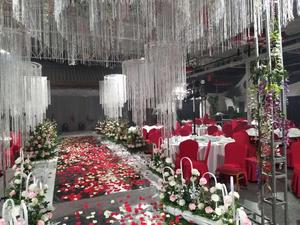 Bravo Thick Silver Decorative String Curtain for Celebration <strong>Wedding</strong> <strong>Ceiling</strong> <strong>Decoration</strong> - Product Image 4