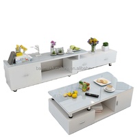 Table Basse et Meuble TV de Style Simple pour Salon
