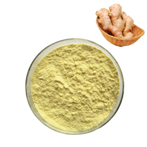 Tự nhiên dinh dưỡng cao giá trị gừng chiết xuất từ rễ bột sức khỏe bột gừng - Product Image 1
