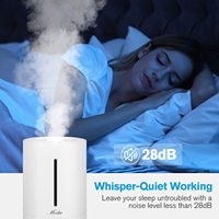 Humidificateur portable grande capacité 4L à remplissage par le haut, avec réglage de l'humidité, contrôle tactile et minuterie, pour grossistes et pièces détachées d'humidificateurs